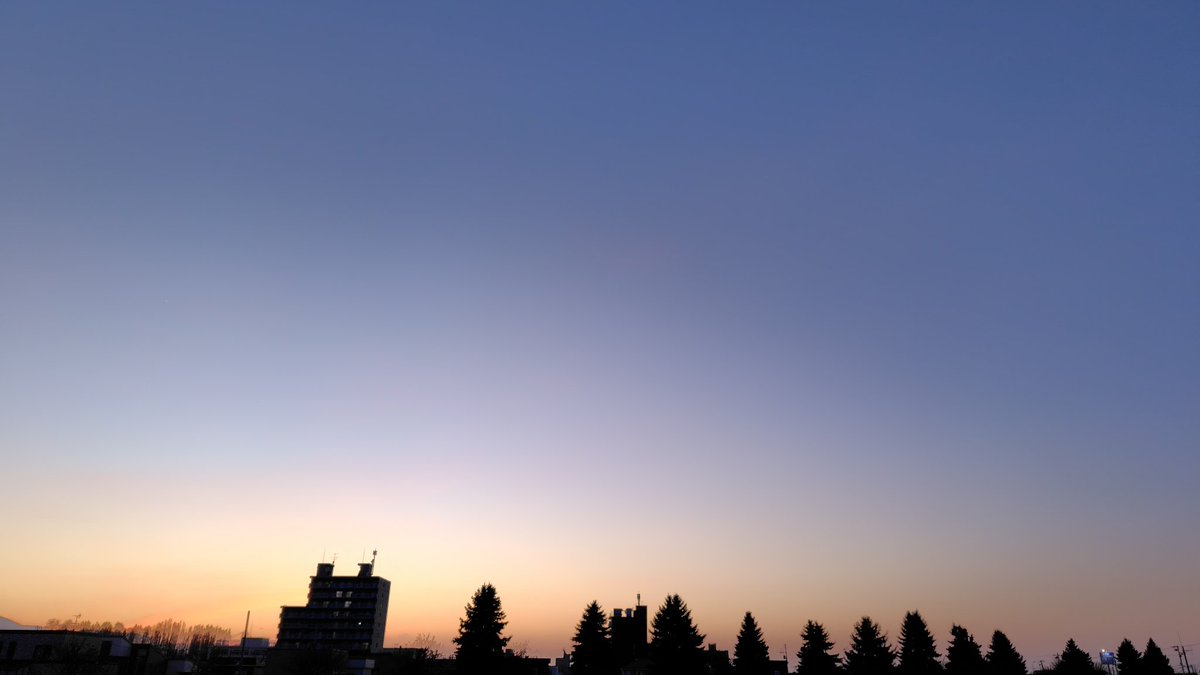 まめSPBV🦫 tweet media