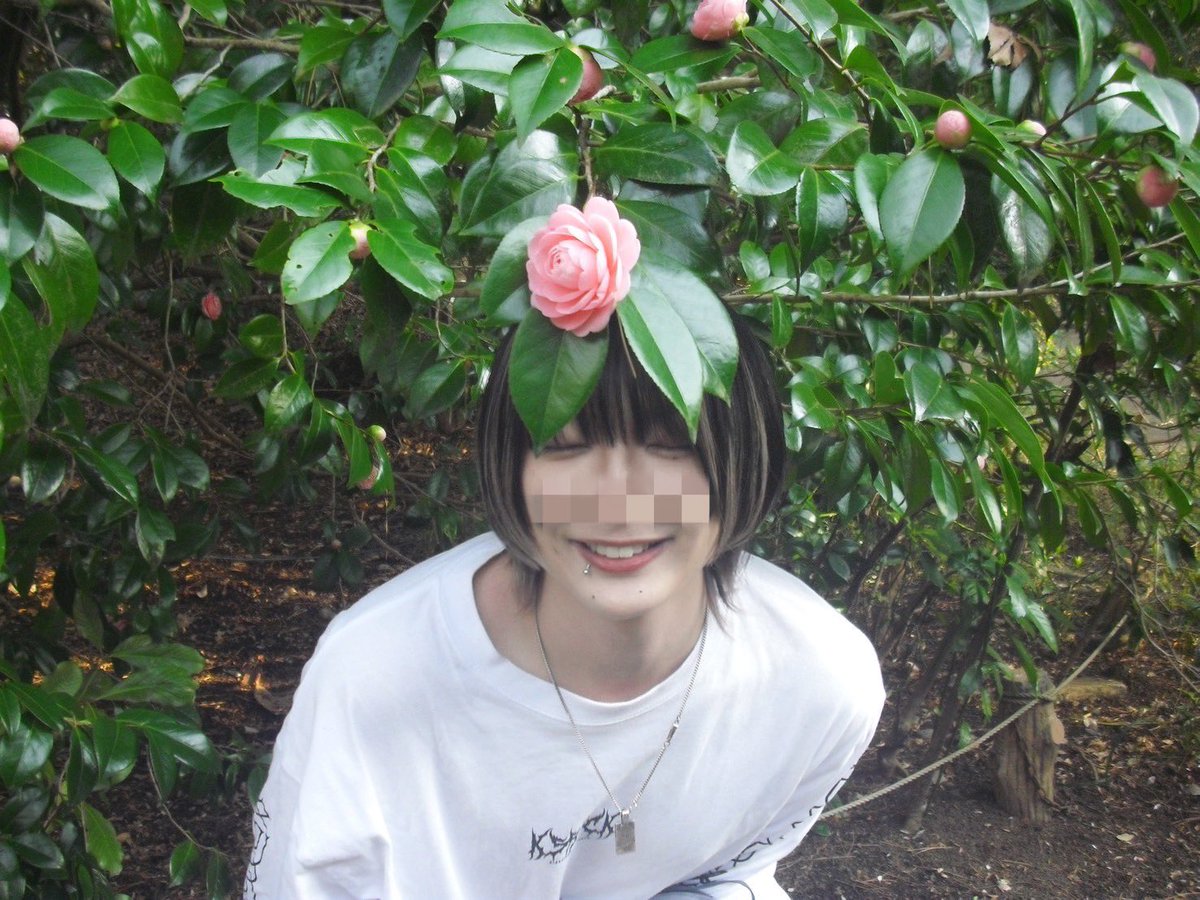 たすけて♡ tweet media