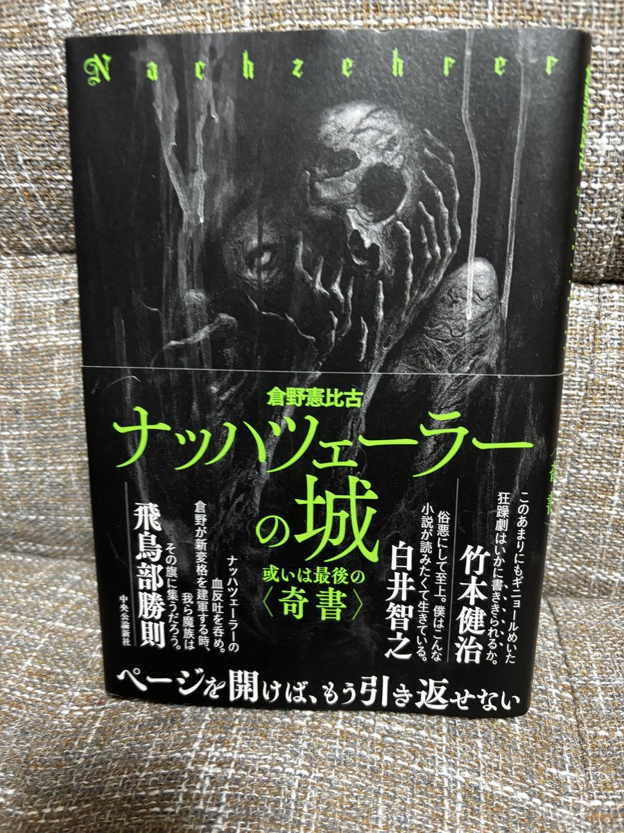 漫画枕（擬似古書店 重力異常の競馬場） tweet media
