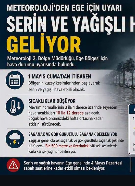 EmEl tweet media