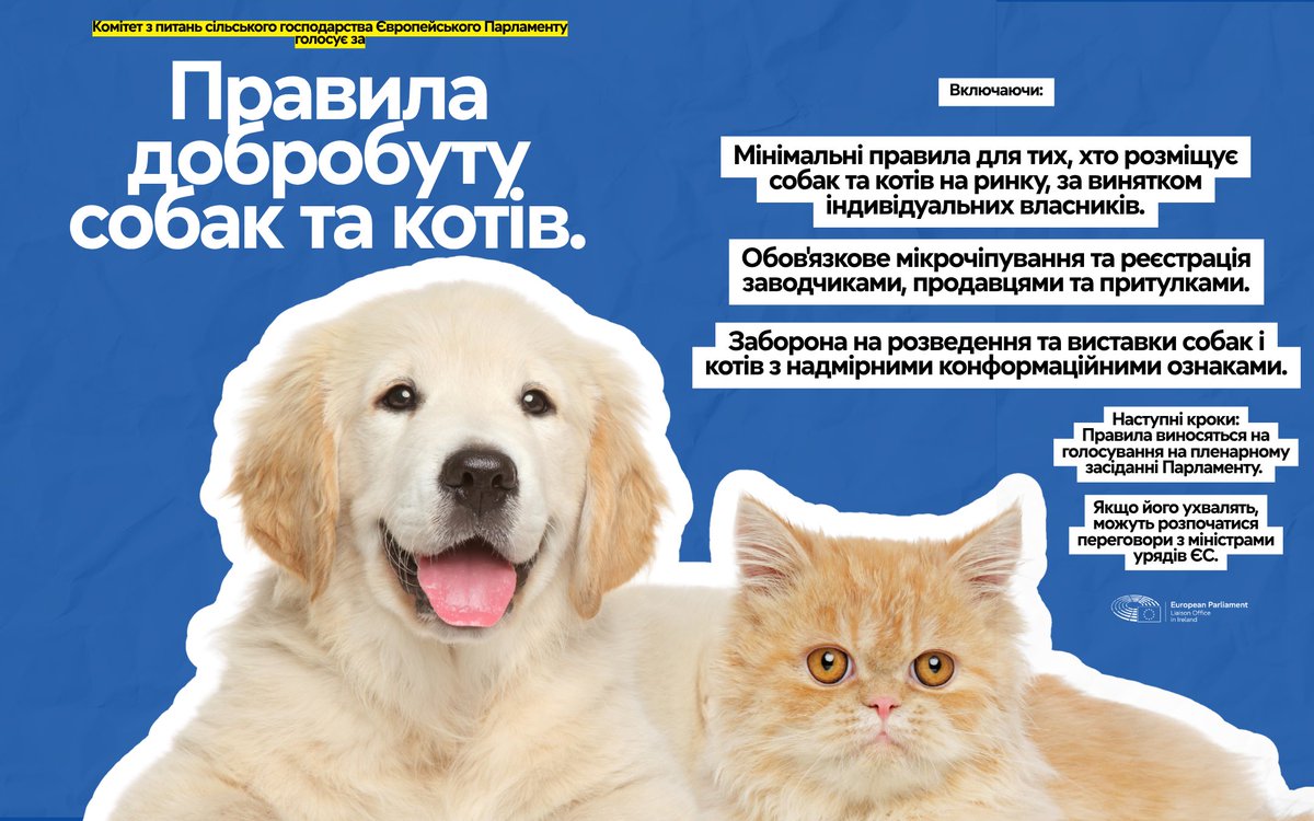 Коти та собаки – це не товари, вони – родина.

ЄС узгодив свої перші в історії правила для їх захисту, включаючи обов'язкове мікрочіпування, заборону шкідливого інбридингу, заходи проти незаконної торгівлі та багато іншого.

Читайте повну інформацію: link.europa.eu/ycxrHy