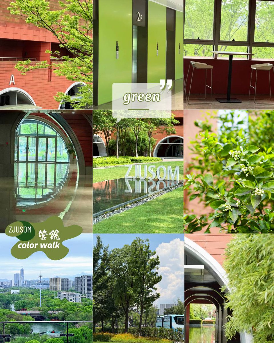 ZJU_China's tweet photo. Come color hunting now in ZJU! 🎨

Let’s go on a color walk at the School of Management, ZJU. You’ll be surprised by how much more you see when you actually looking!

Photos: 浙江大学管理学院
#ZJUSOM #DiscoverZJU #colorwalk #sprinigvibe https://t.co/a0tiy6JUvO