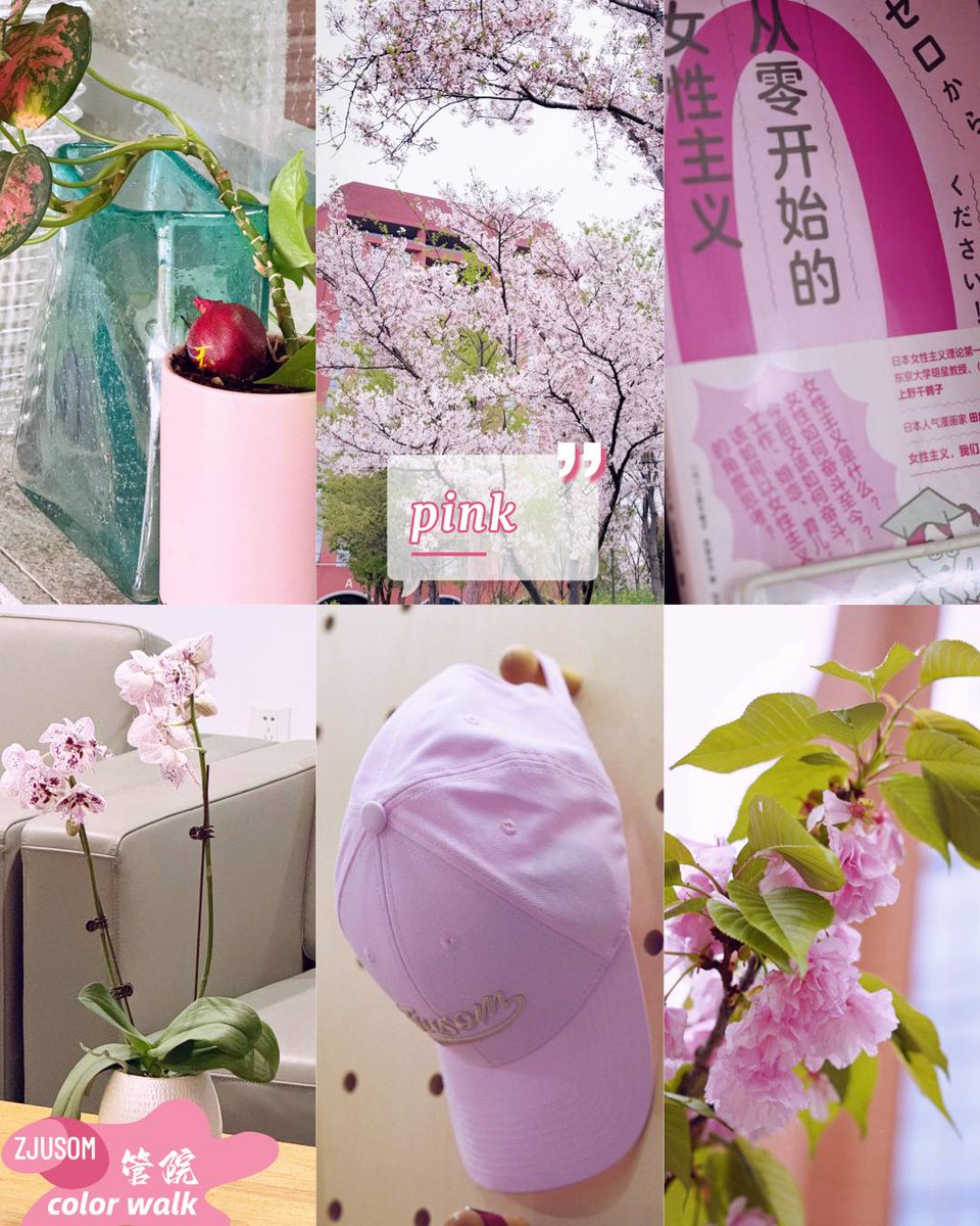 ZJU_China's tweet photo. Come color hunting now in ZJU! 🎨

Let’s go on a color walk at the School of Management, ZJU. You’ll be surprised by how much more you see when you actually looking!

Photos: 浙江大学管理学院
#ZJUSOM #DiscoverZJU #colorwalk #sprinigvibe https://t.co/a0tiy6JUvO