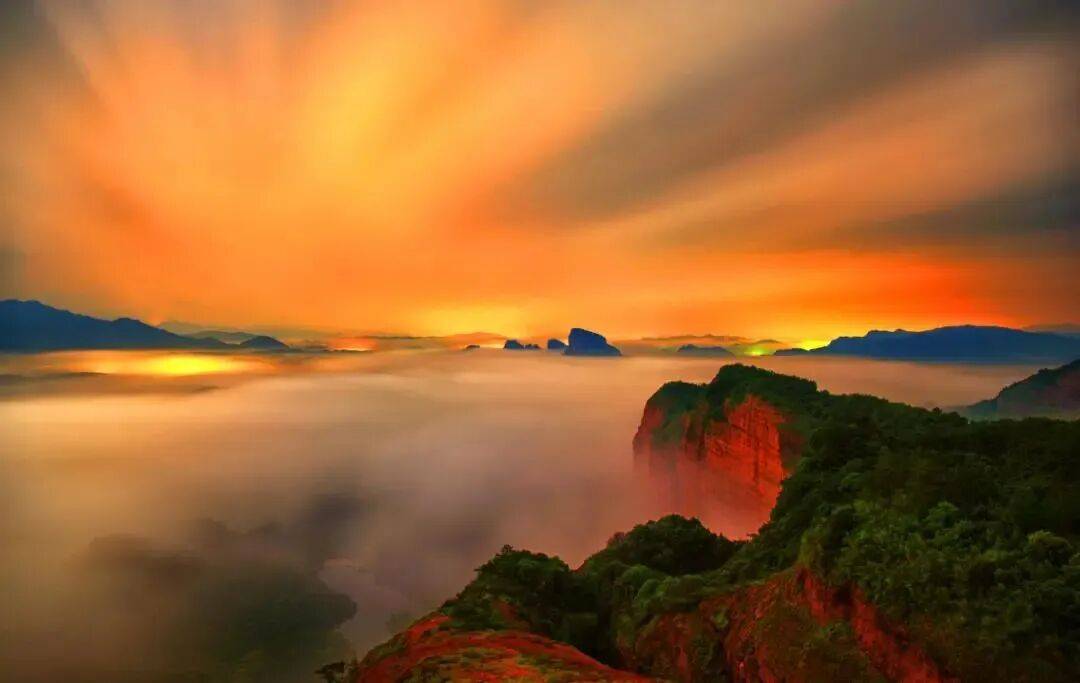 prashant pathak tweet media