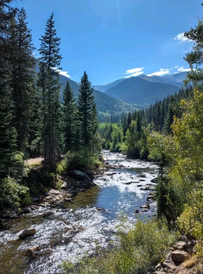 MESSAI_Bill's tweet image. Good Thursday. #ThursdayVibes