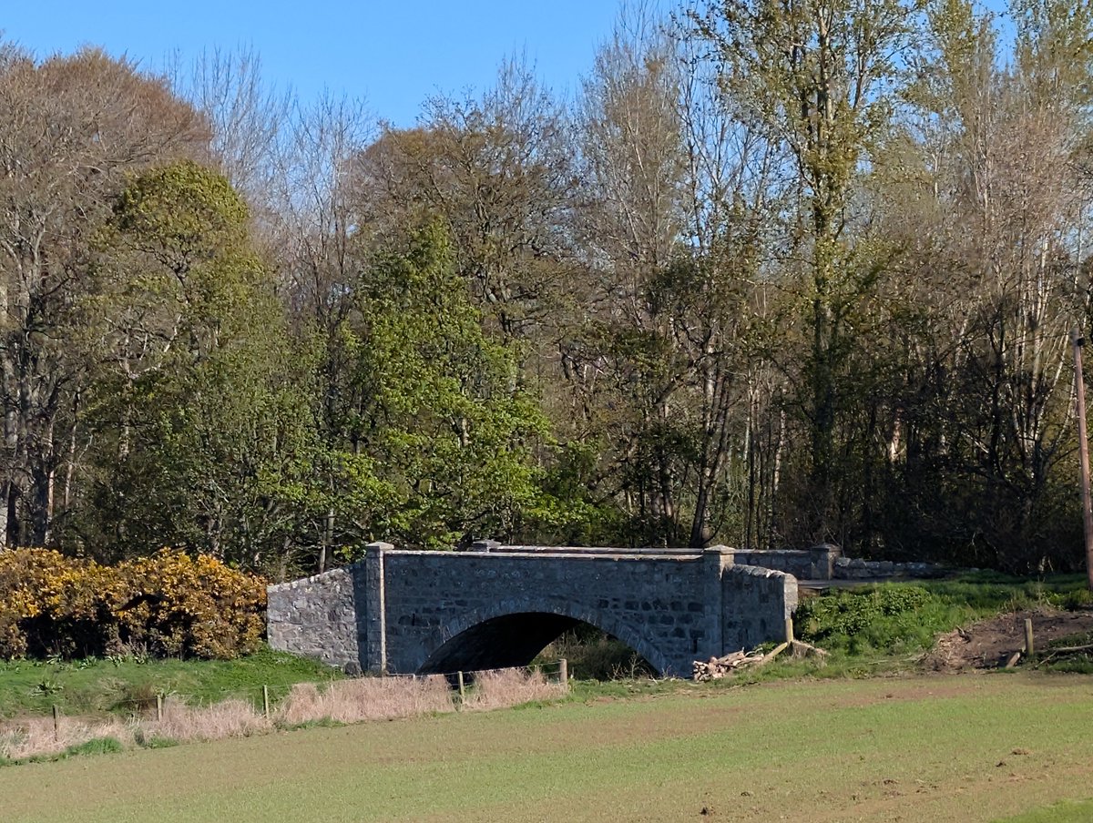 DooDahDog's tweet image. Day 365+120 - Sunny, breeze, cool, dry. 
Easy paced recovery #run with Wilbur dog. Stiff, tired and creaking but the sun cheers the day up.
#running #ukrunchat #5kaday