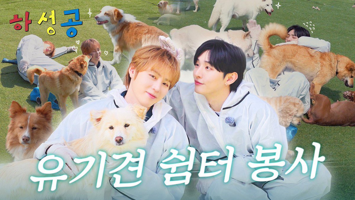 보이면쏜다빵빵 tweet media