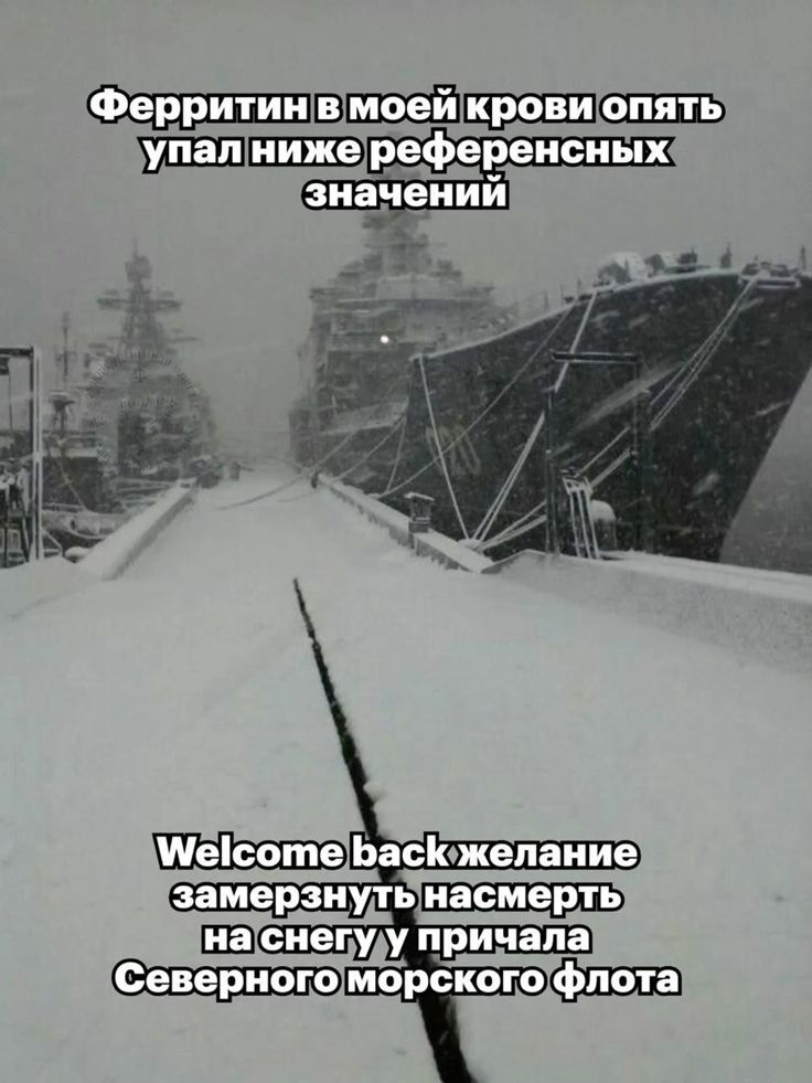 CauLaun's tweet photo. Я умру в Североморске среди гор и снежных стен https://t.co/O8nQDIv7xt
