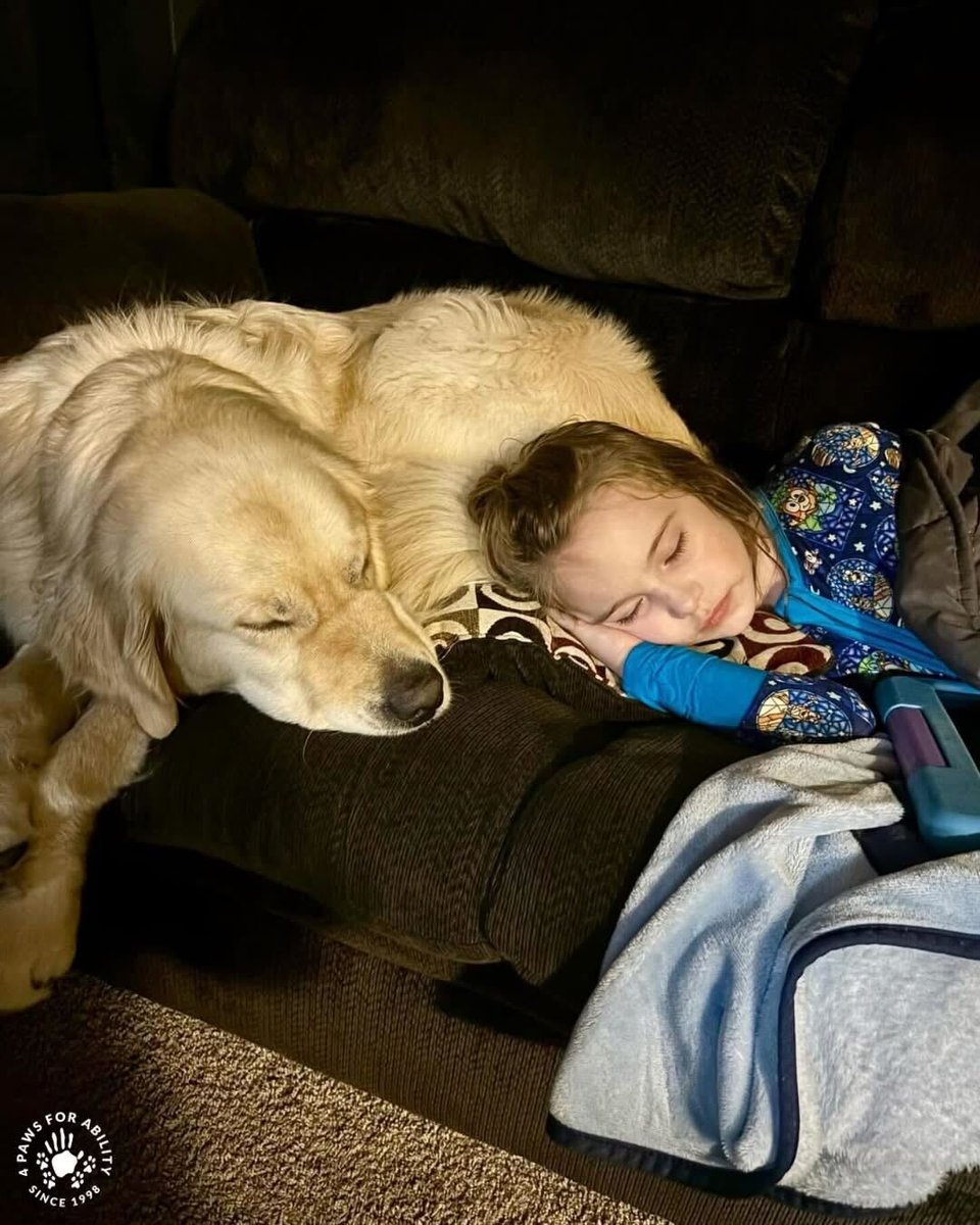 4 Paws For Ability tweet media