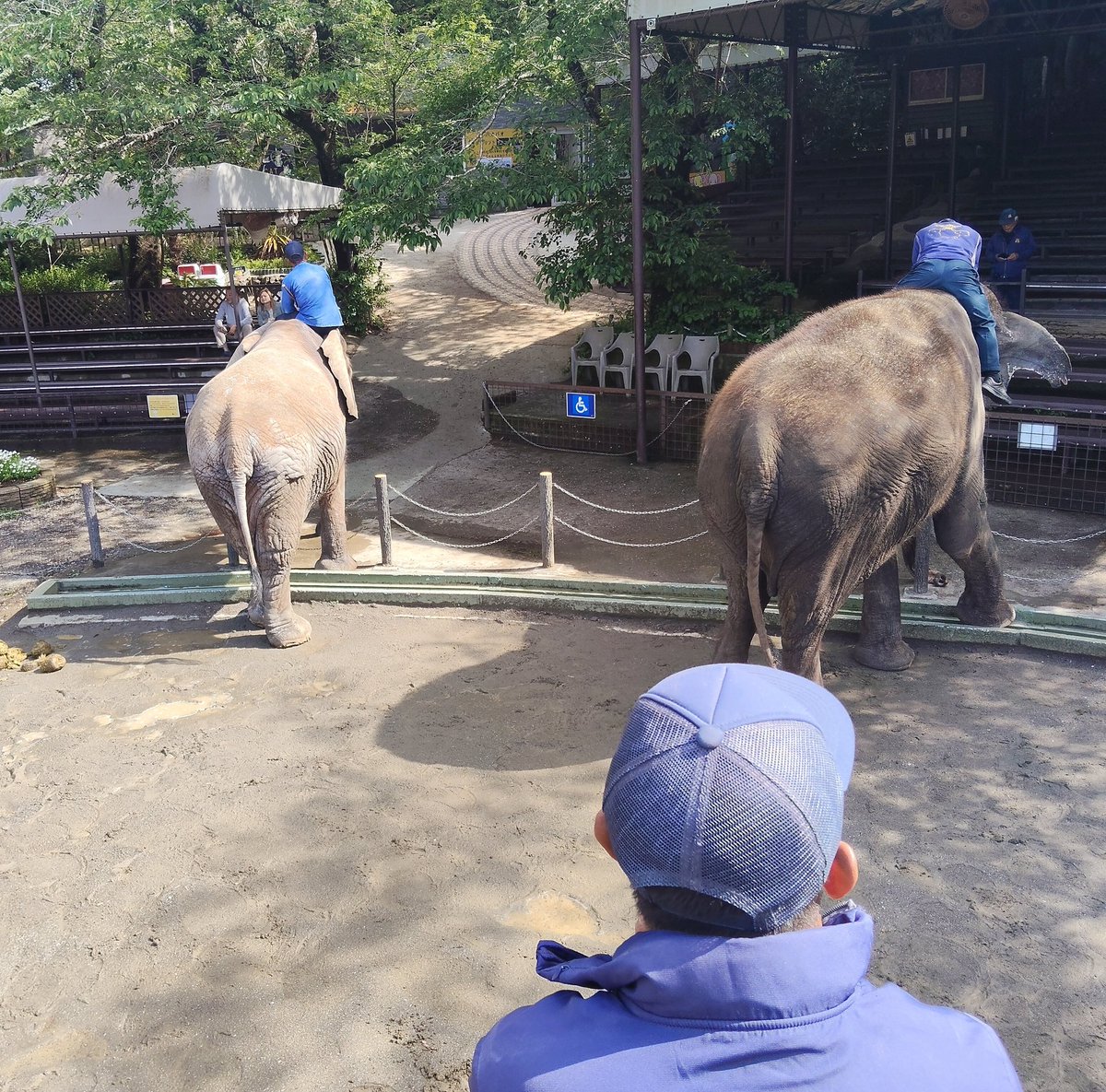 すわいつ郞 tweet media