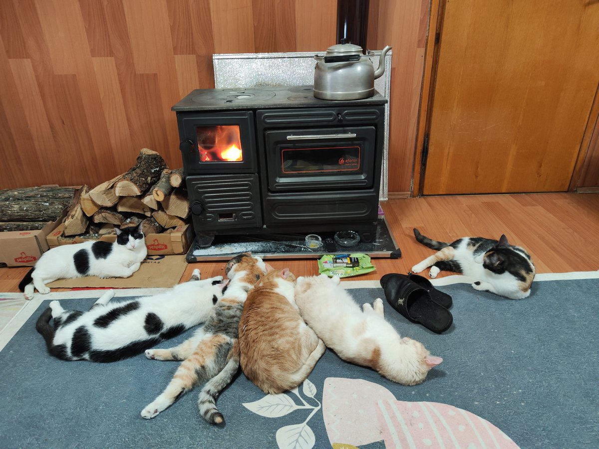 LaMuwazi tweet media