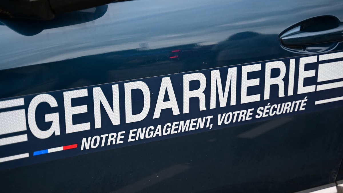 BFMTV's tweet photo. Enfant mordu par deux chiens dans l'Oise: les jours de la victime ne sont plus en danger
https://t.co/v85wwXisiP https://t.co/GrBcA3BUV2