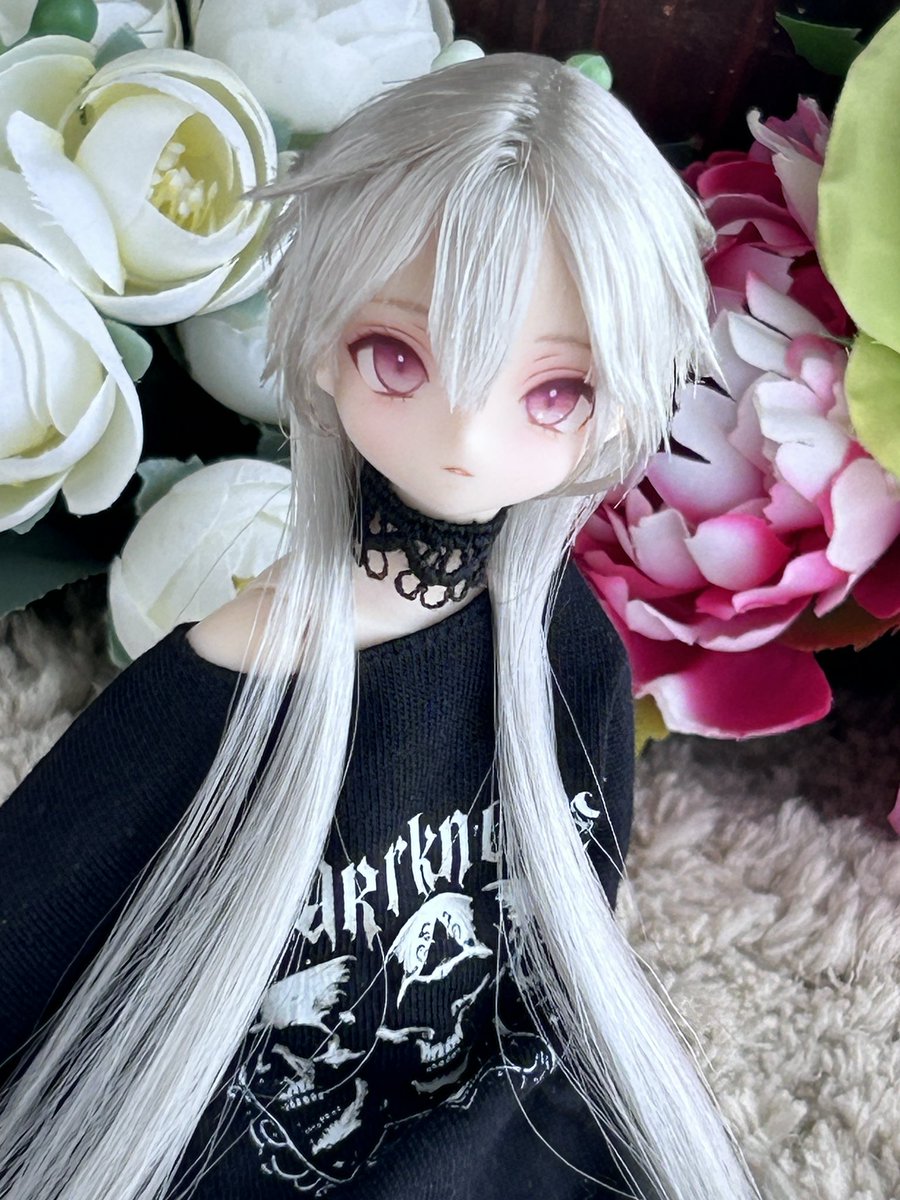 ピュアニーモカスタムヘッドにシルバーちゃんのお家探し始めました🏠🤍
リンクはツリーにて⬇️