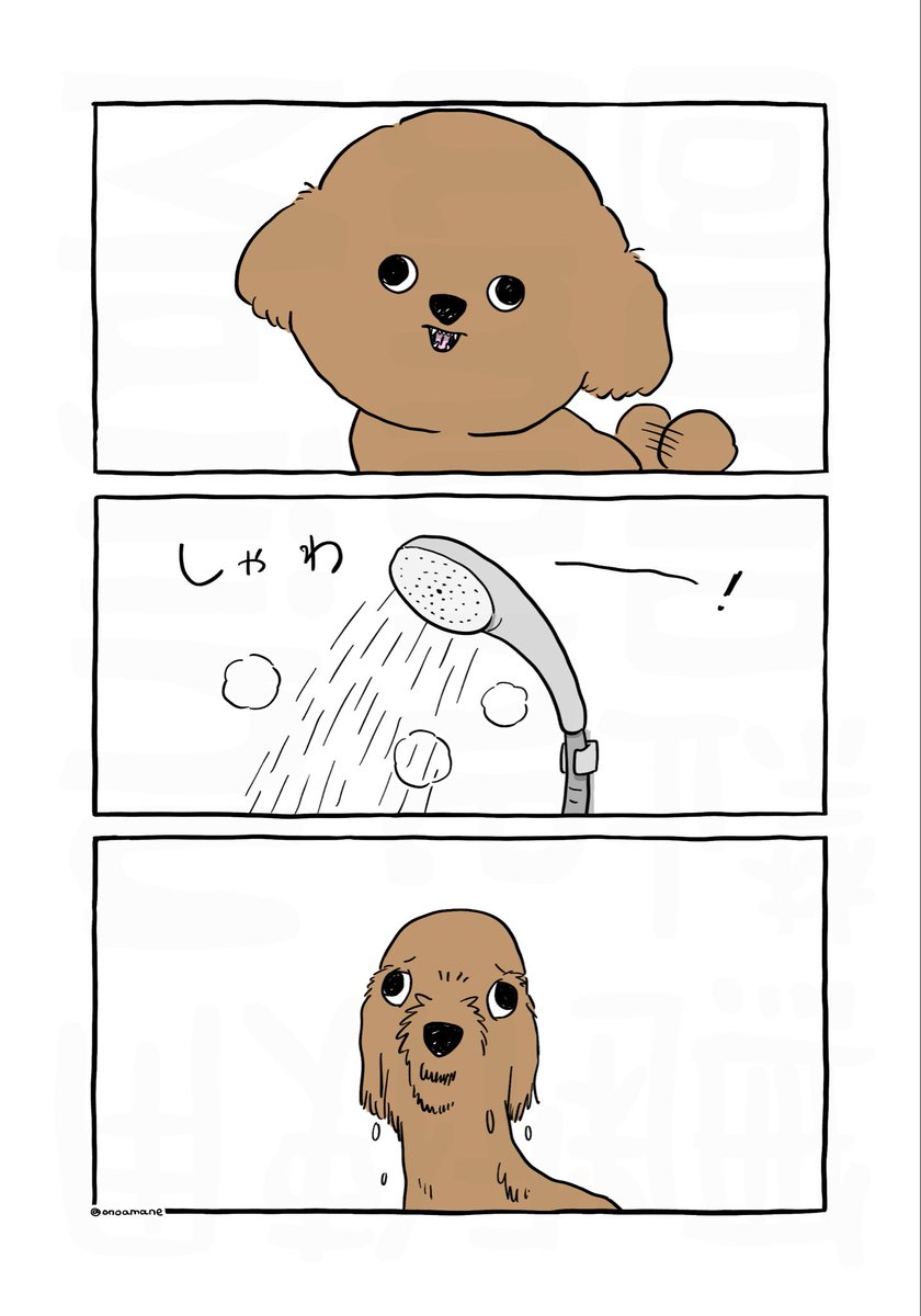 おのあまね tweet media