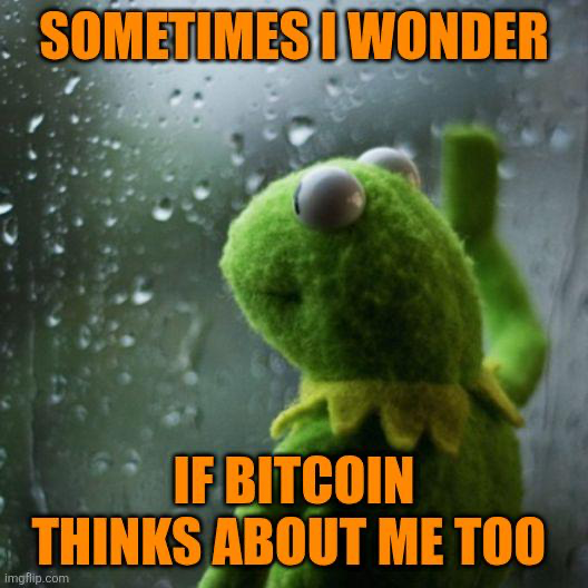 Simply Bitcoin tweet media