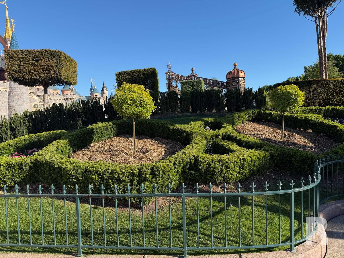 DLP Report tweet media