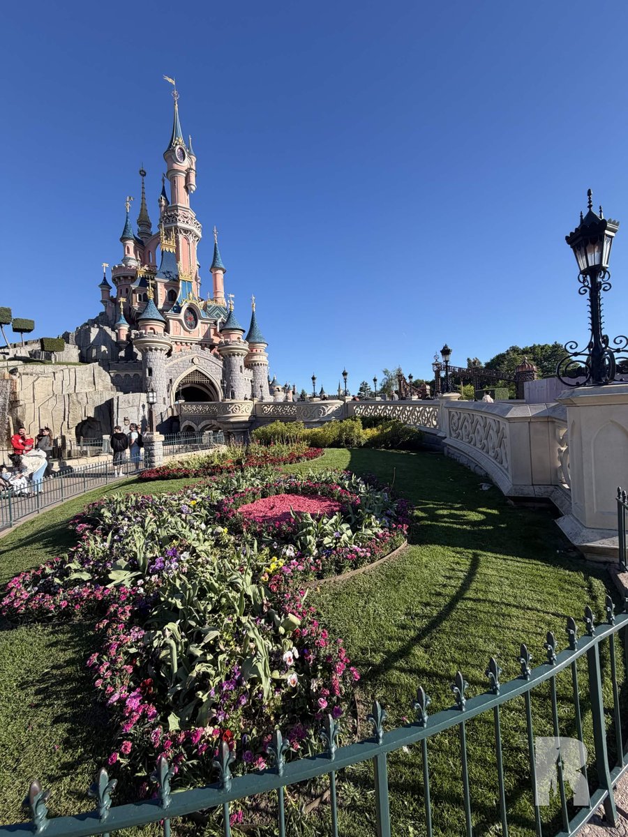 DLP Report tweet media