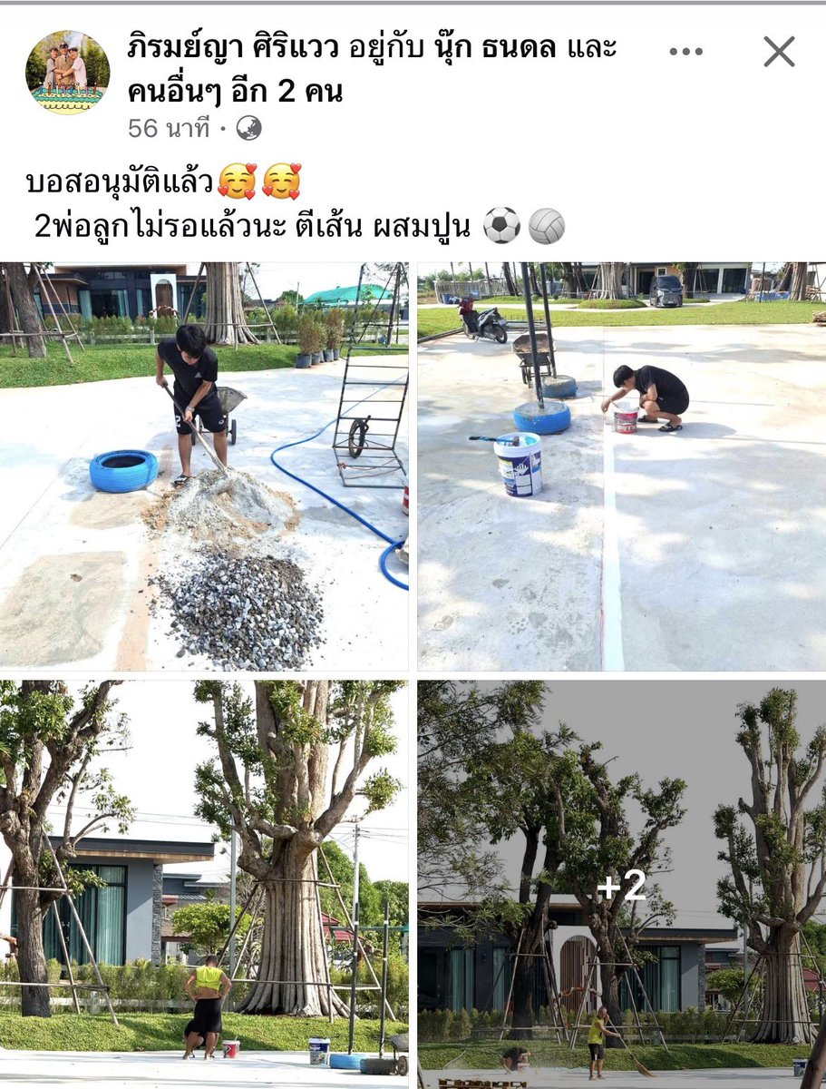 แมวน้ำลูกน้องบอส tweet media