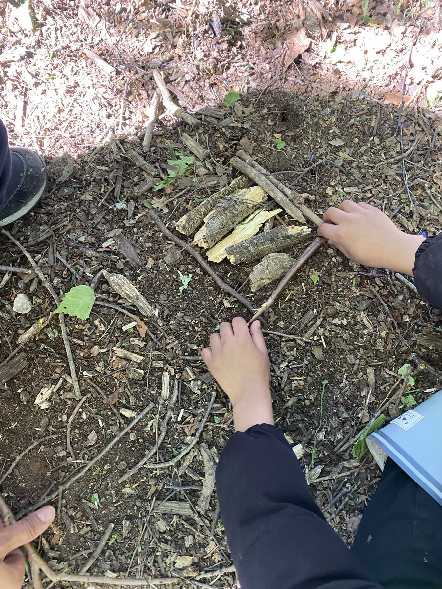 MarlboroughPrim's tweet image. #ForestSchool What a super morning 1C are having at Wyndcliffe. They are busy making a new home for Mrs Pearson’s Dragon, using only natural resources.