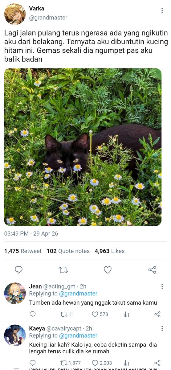 laternist's tweet photo. #varflins #knightlight sentinel guide au

Suatu hari, sentinel Varka diikuti oleh seekor kucing hitam. Namun, kucing itu ternyata adalah spirit animal, yaitu manifestasi kekuatan psikis dari seorang guide bernama Flins yang sepertinya memiliki hubungan khusus dengan Varka... https://t.co/BXP40C9xjU