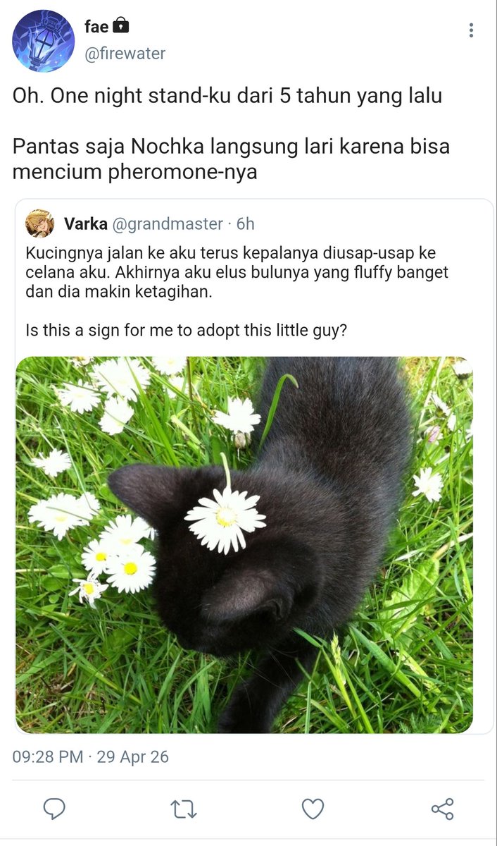 laternist's tweet photo. #varflins #knightlight sentinel guide au

Suatu hari, sentinel Varka diikuti oleh seekor kucing hitam. Namun, kucing itu ternyata adalah spirit animal, yaitu manifestasi kekuatan psikis dari seorang guide bernama Flins yang sepertinya memiliki hubungan khusus dengan Varka... https://t.co/BXP40C9xjU