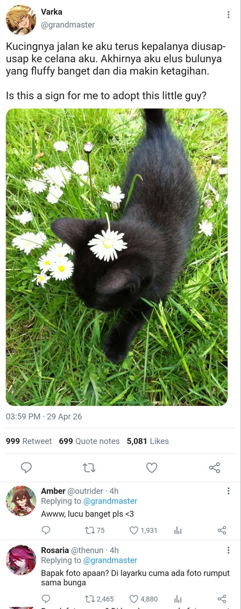 laternist's tweet photo. #varflins #knightlight sentinel guide au

Suatu hari, sentinel Varka diikuti oleh seekor kucing hitam. Namun, kucing itu ternyata adalah spirit animal, yaitu manifestasi kekuatan psikis dari seorang guide bernama Flins yang sepertinya memiliki hubungan khusus dengan Varka... https://t.co/BXP40C9xjU