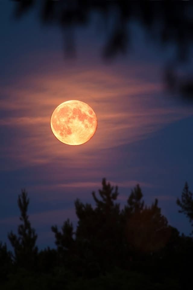 Moon Lovers tweet media