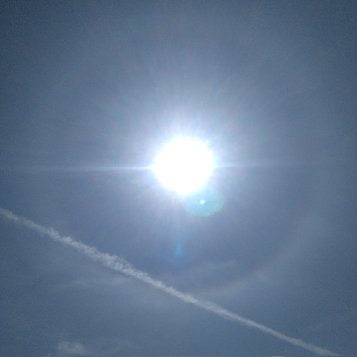 🍎miko♪S🍏 tweet media