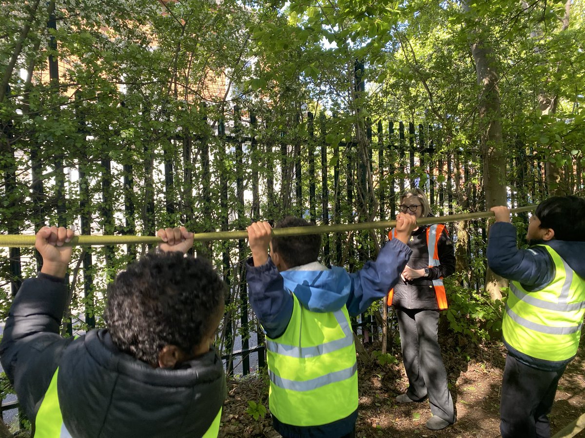 MarlboroughPrim's tweet image. #ForestSchool after finishing their dragon shelters, 1C even had time for some balancing on the slack wire.