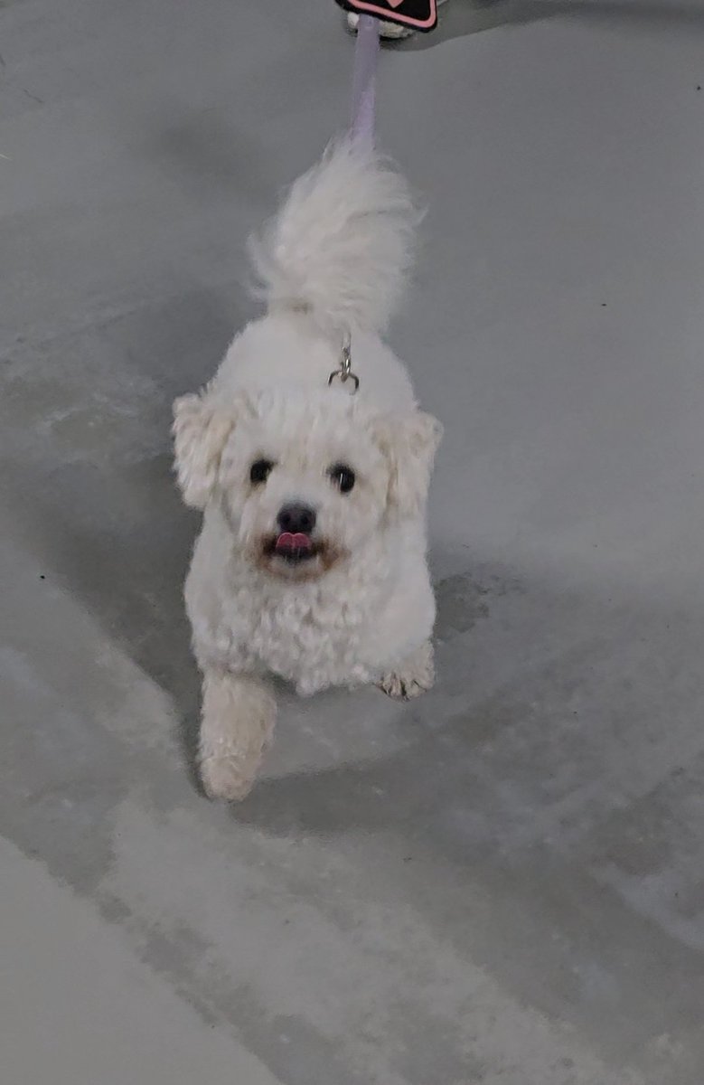 세나의 하루 tweet media