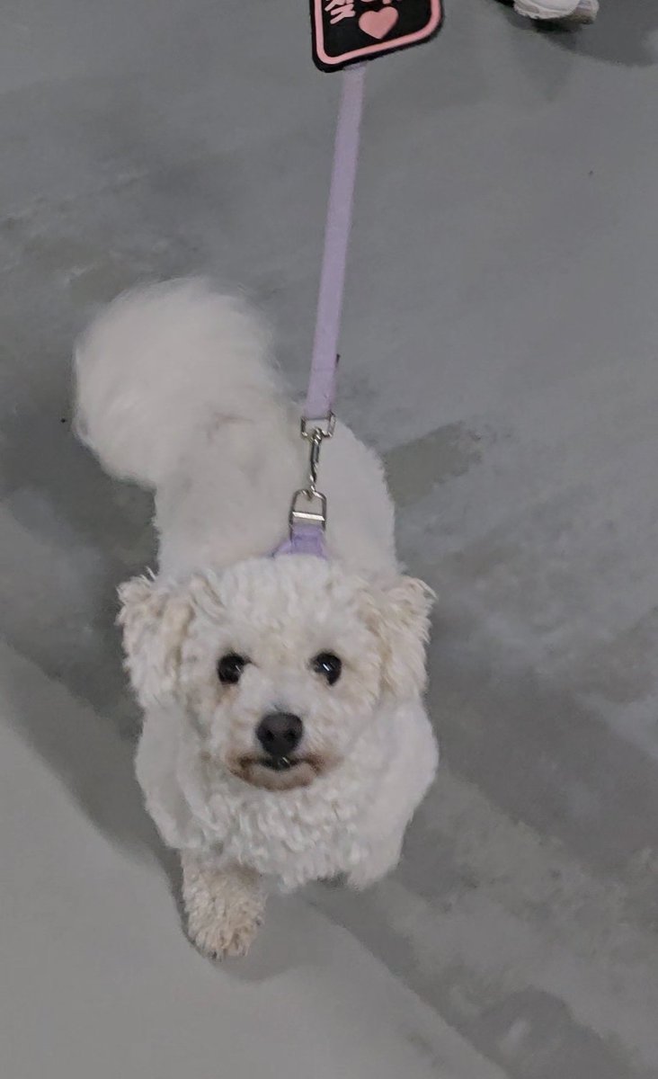 세나의 하루 tweet media