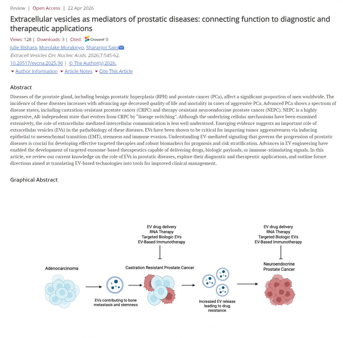 Extracellular Vesicles & Circulating Nucleic Acids tweet media