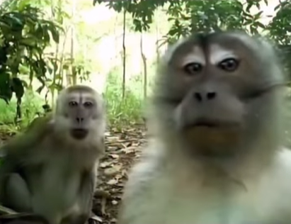 The Nonexistent Knight tweet media