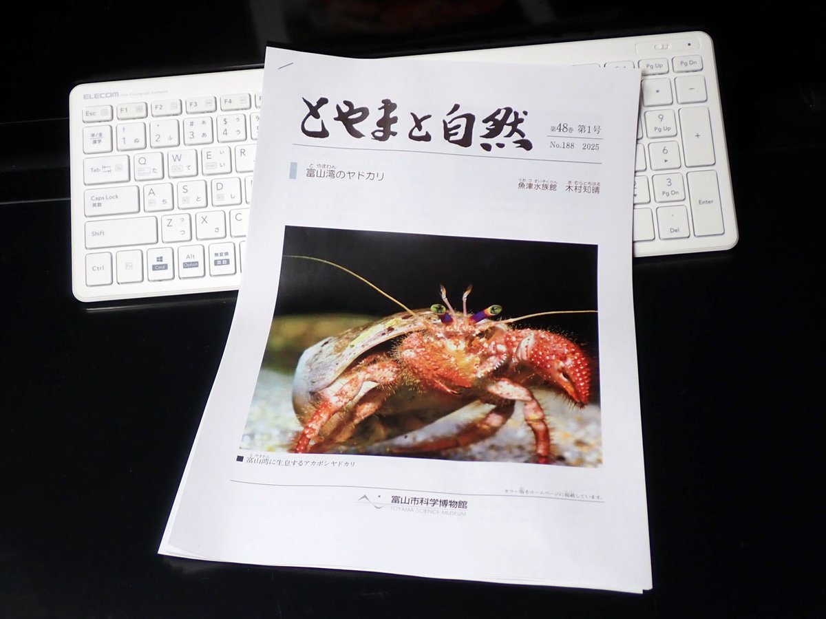 魚津水族館の木村知晴さんが昨年書かれた「富山湾のヤドカリ」という報文を見つけました。アカボシヤドカリ、ケスジヤドカリ、ゼンマイヤドカリも興奮ですが、ホシゾラホンヤドカリやクロシマホンヤドカリが富山ではここ数年での初記録だったそうです😳
ダウンロード先↓
tsm.toyama.toyama.jp/?tid=100114