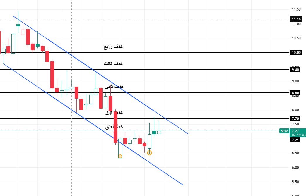 هامور السوق السعودي 🇸🇦🐋 tweet media