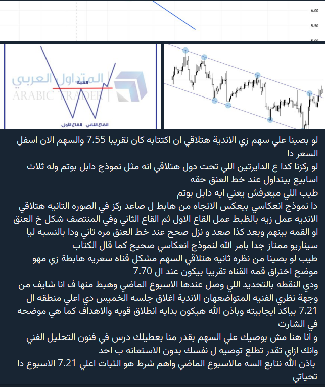 هامور السوق السعودي 🇸🇦🐋 tweet media