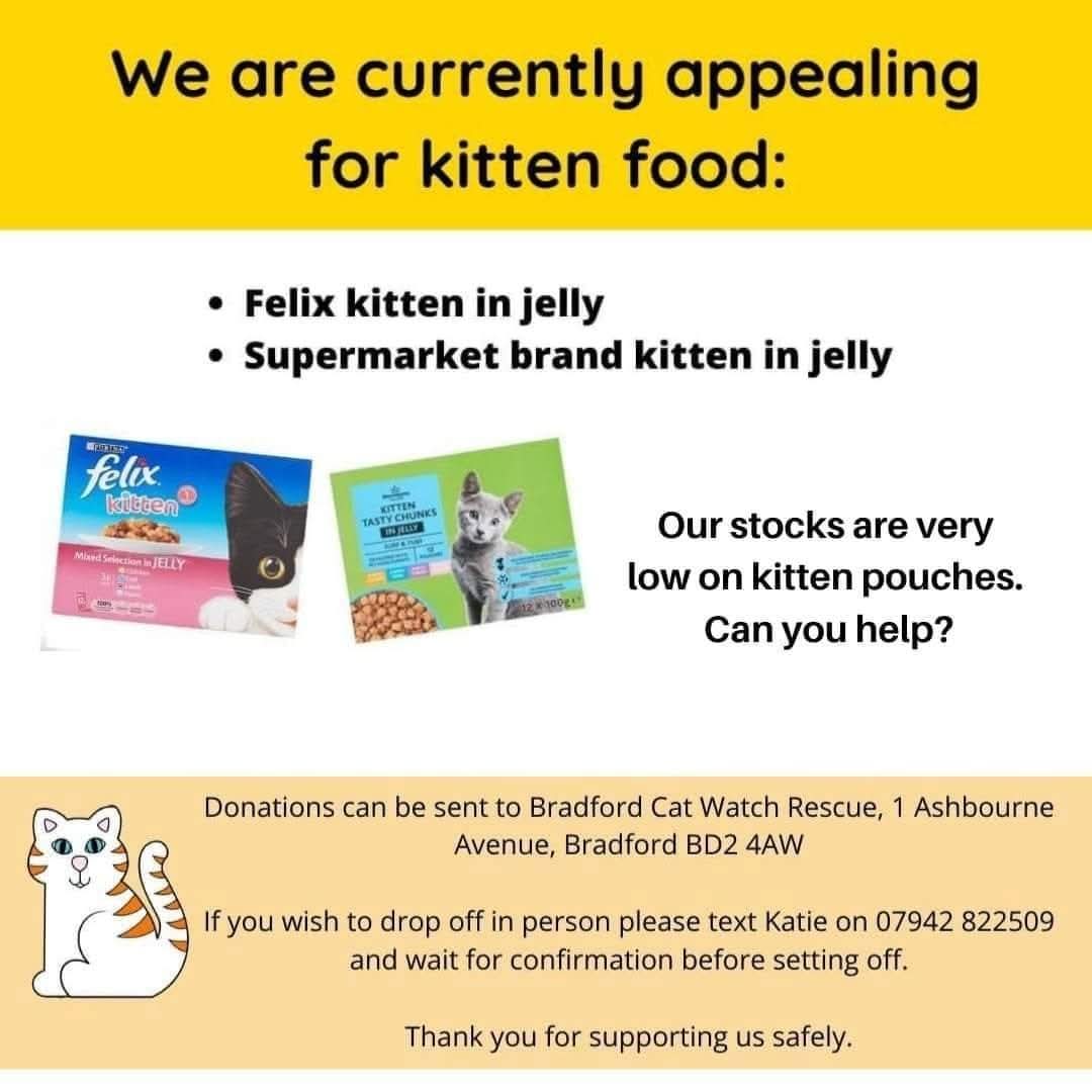 Bradford Cat Watch Rescue tweet media