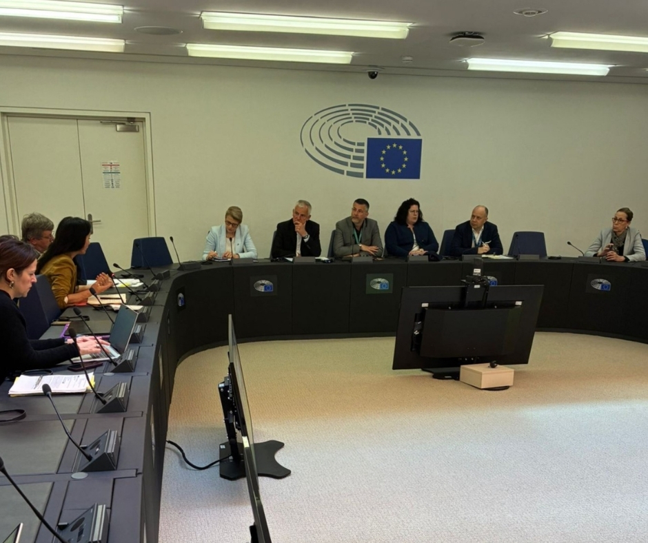 Intergroup on Resilience and Civil Protection tweet media