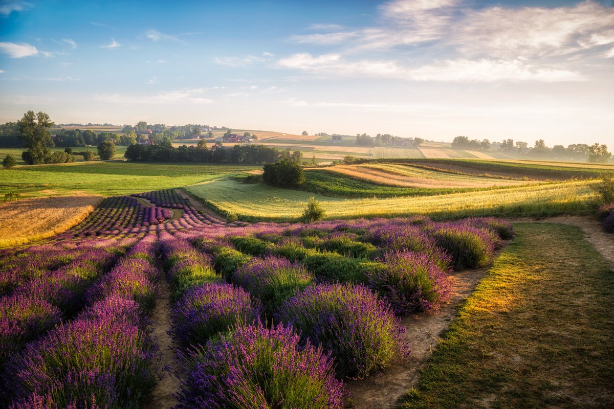 Poland Travel tweet media