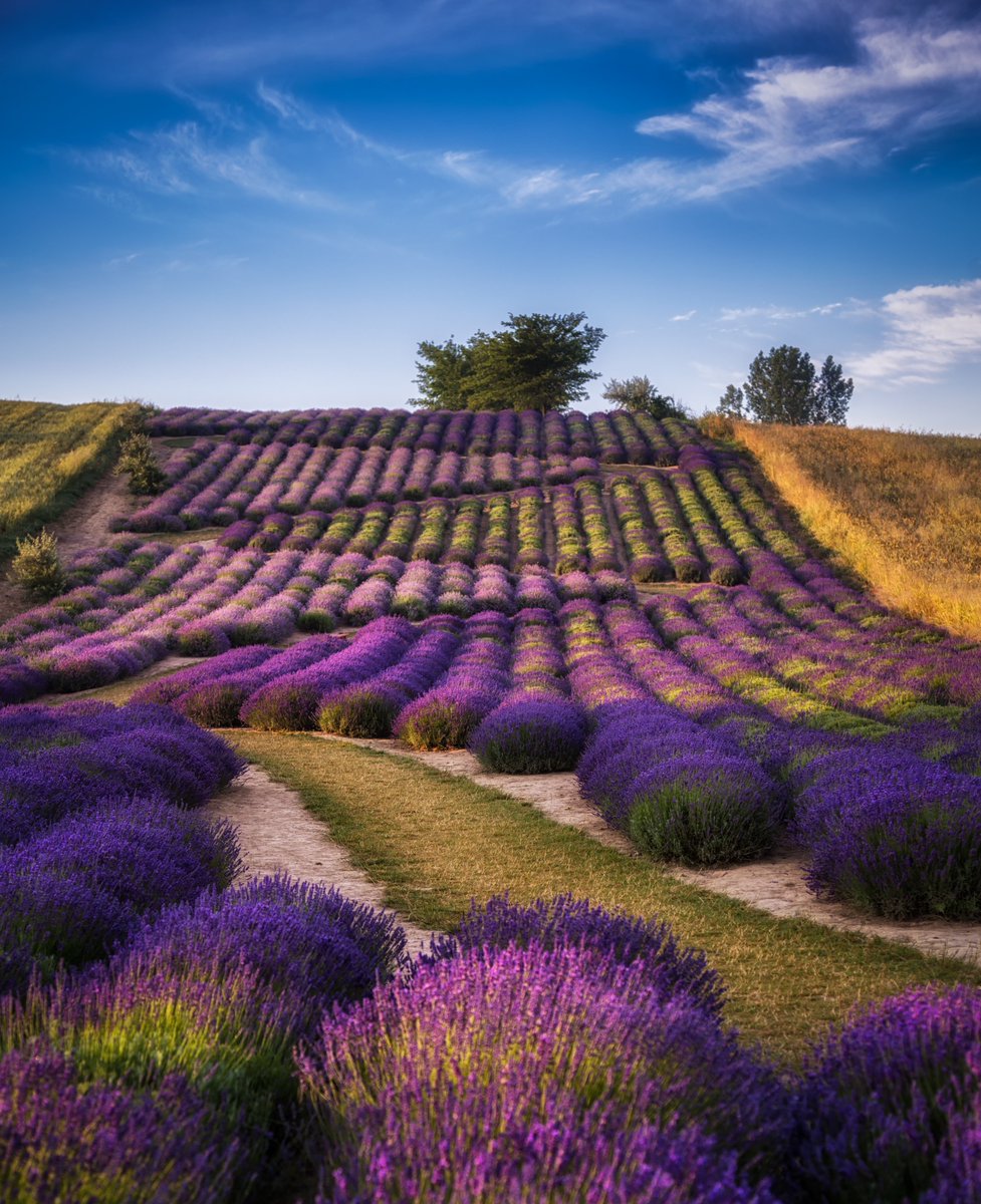 Poland Travel tweet media