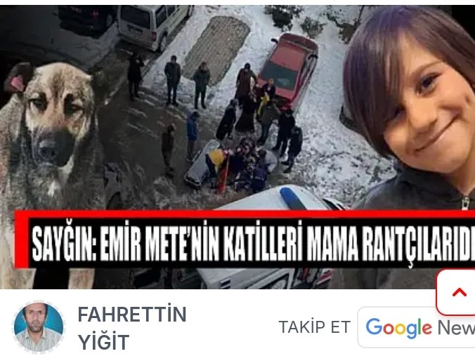 Sarachesarasara's tweet photo. @mustafaciftcitr Van'da köpekler cocuk yemeye doymuyor.

Köpek derken gozleri dolu dolu olanlar nerede?

Mecliste tabii ki!

#hamzaozsoy 
#metedurna 
Nın anneleri umurunda mı?

@RTErdogan 
@RTEdijital https://t.co/AfO4OTC6lG