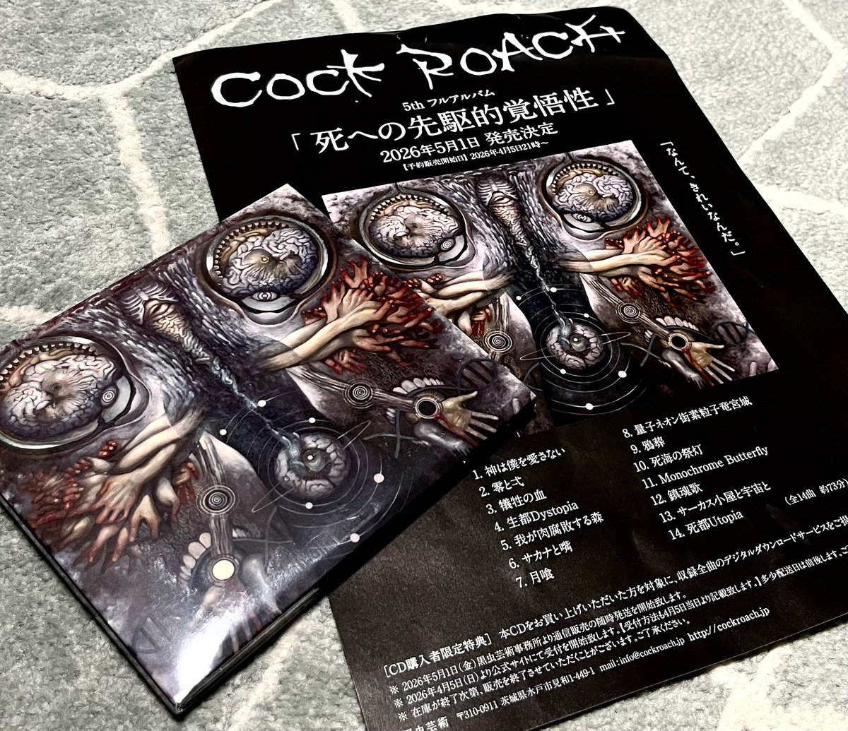 黒虫芸術 CD/DVDセット COCK ROACH 無限マイナス 博士と蟋蟀 届きました。致死量の芸術。またこうしてCOCK ROACHの新譜を手に取って