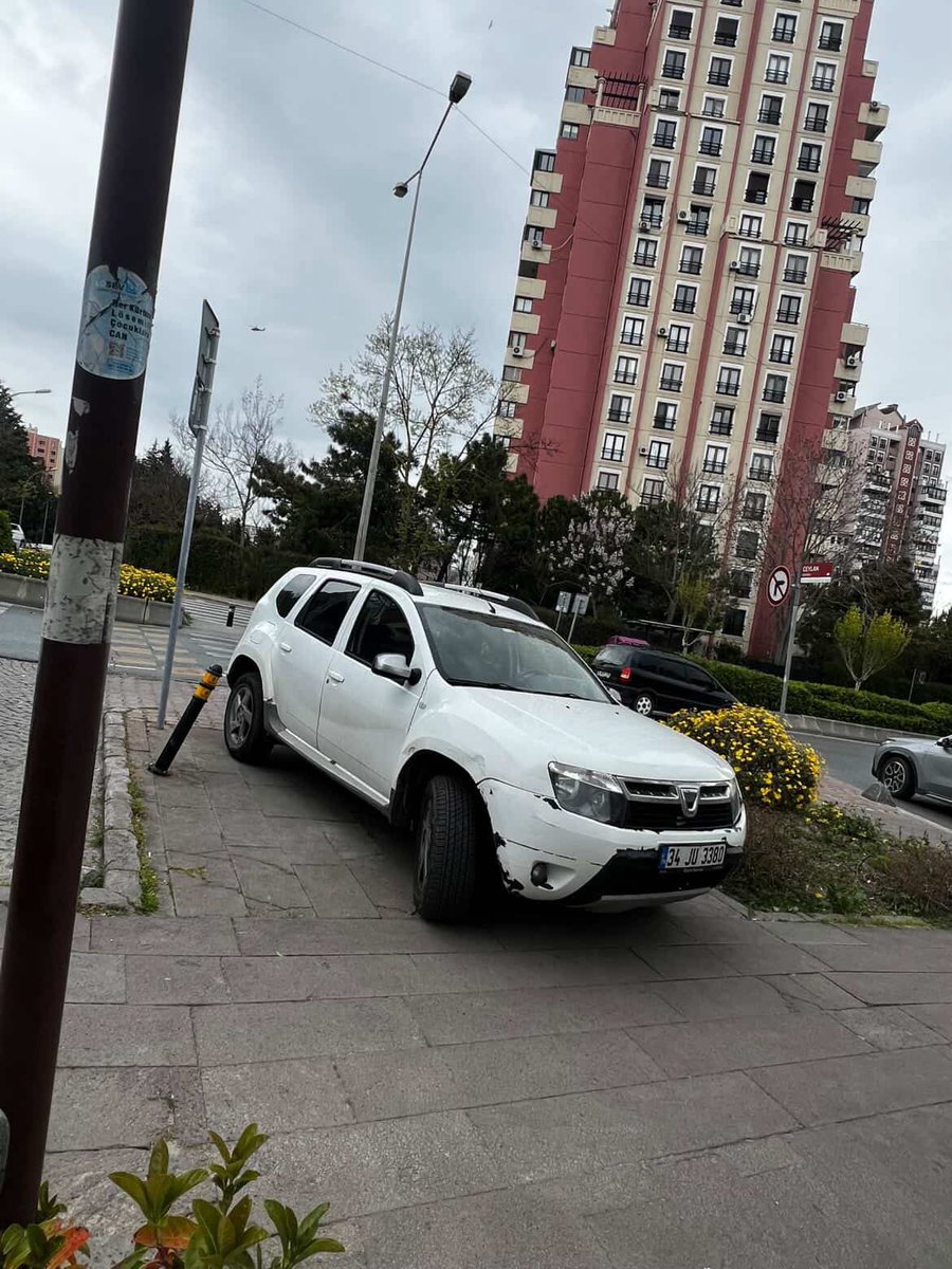 Bahçeşehir Gölet Gönüllüleri tweet media