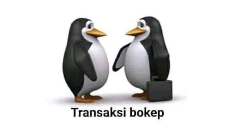 Karenina🐦‍⬛ tweet media