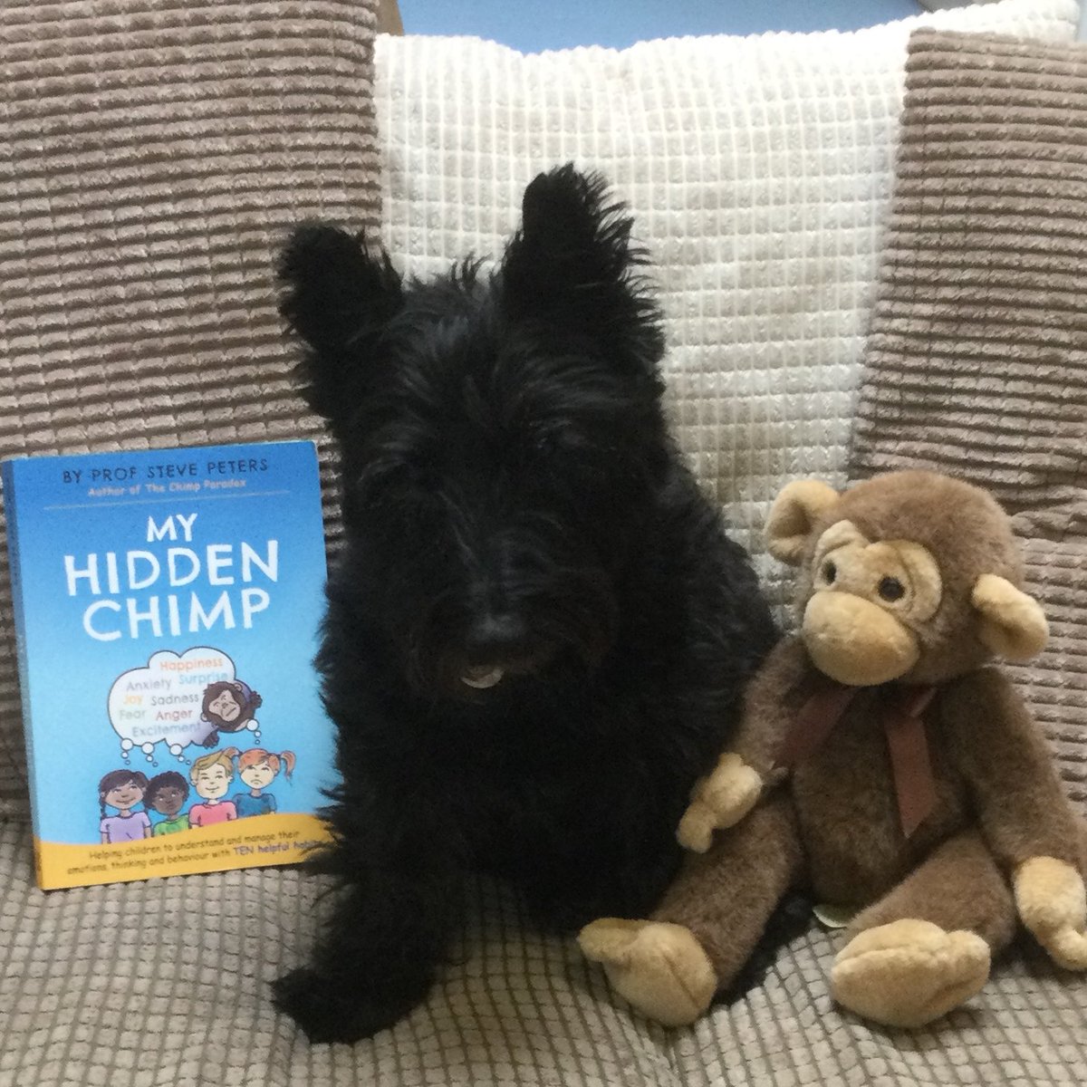 LochsidePS's tweet photo. P3-7 completed their learning around My Hidden Chimp. They had a visit from Kizzy, who demonstrated that your hidden chimp is like having a pet; it is your job to control it and keep it happy. A Lochside learner is a responsible citizen. @LochsidePS https://t.co/fAvZQUv7Vi