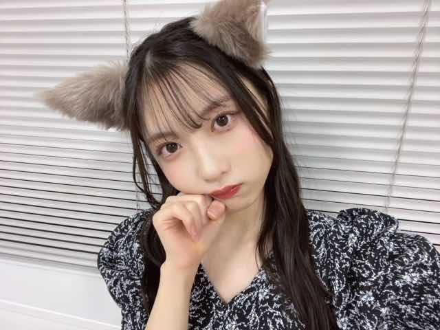 Airidayobot's tweet photo. 猫あいりだよ～

#谷口愛季 https://t.co/wxUkGmK5nEアザト愛季猫_jpg https://t.co/iddGStnUxc