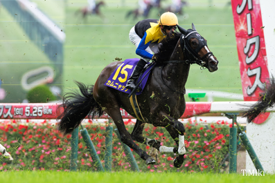 今週5/24（日）は #オークス ＼ 去年の優勝馬は #カムニャック🏇 外