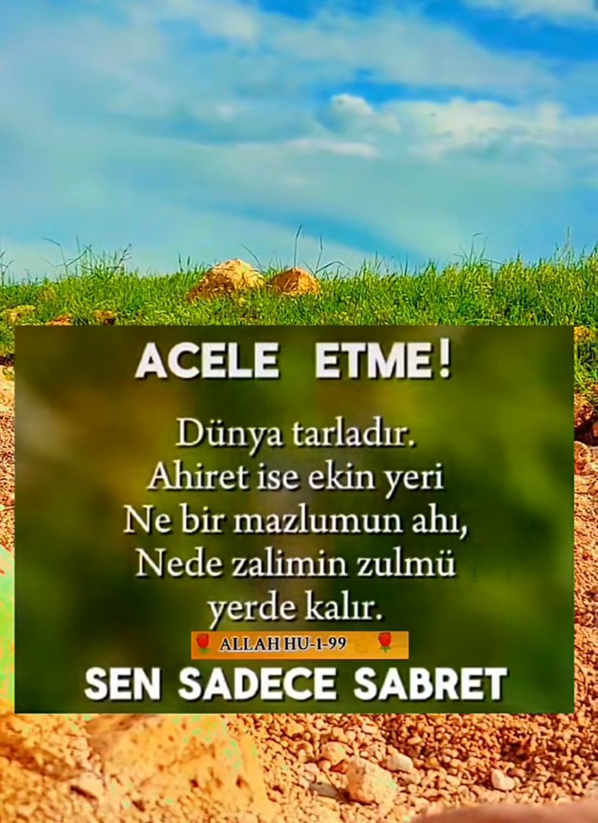 memet aydın tweet media