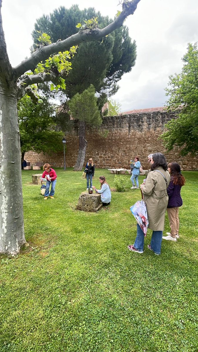 CFIE de Soria tweet media