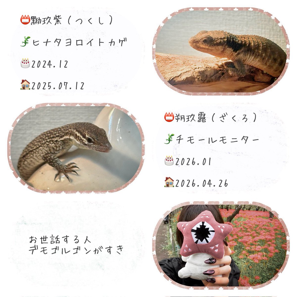 momoko tweet media